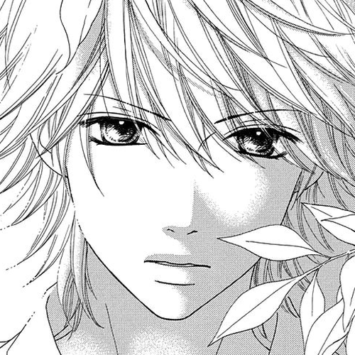 Koibana! Koiseyo Hanabi Chapter 63 cover
