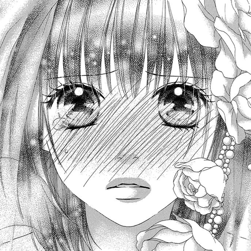 Koibana! Koiseyo Hanabi Chapter 67 : (End) cover