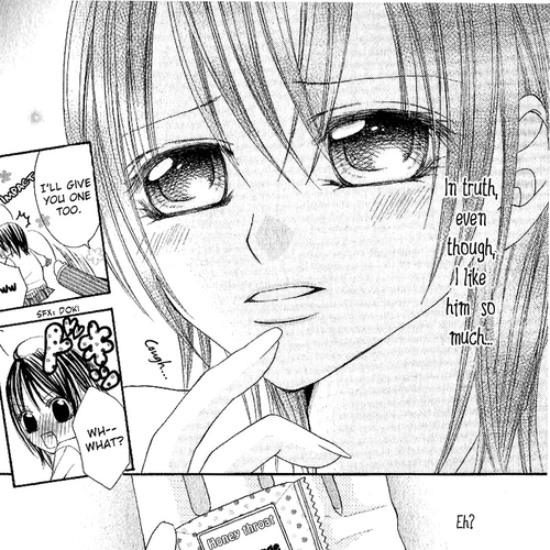 Koisuru Futari no Mitsu na Yarikata Chapter 1 cover