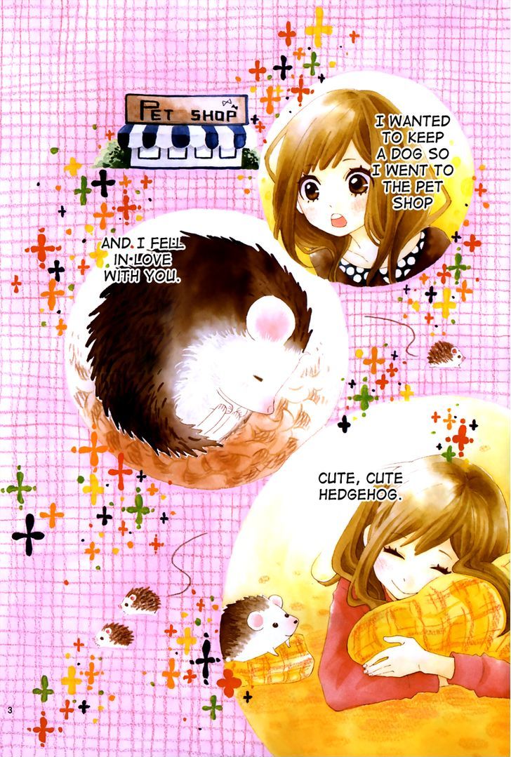 Koisuru Harinezumi Chapter 1.2 page 4 - Chapter 1 v2