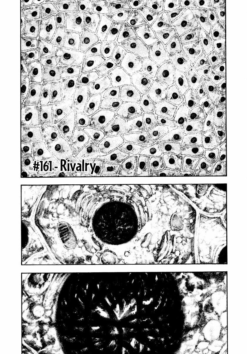 Kokou no Hito Chapter 161 page 1 - Chapter 161: Rivalry