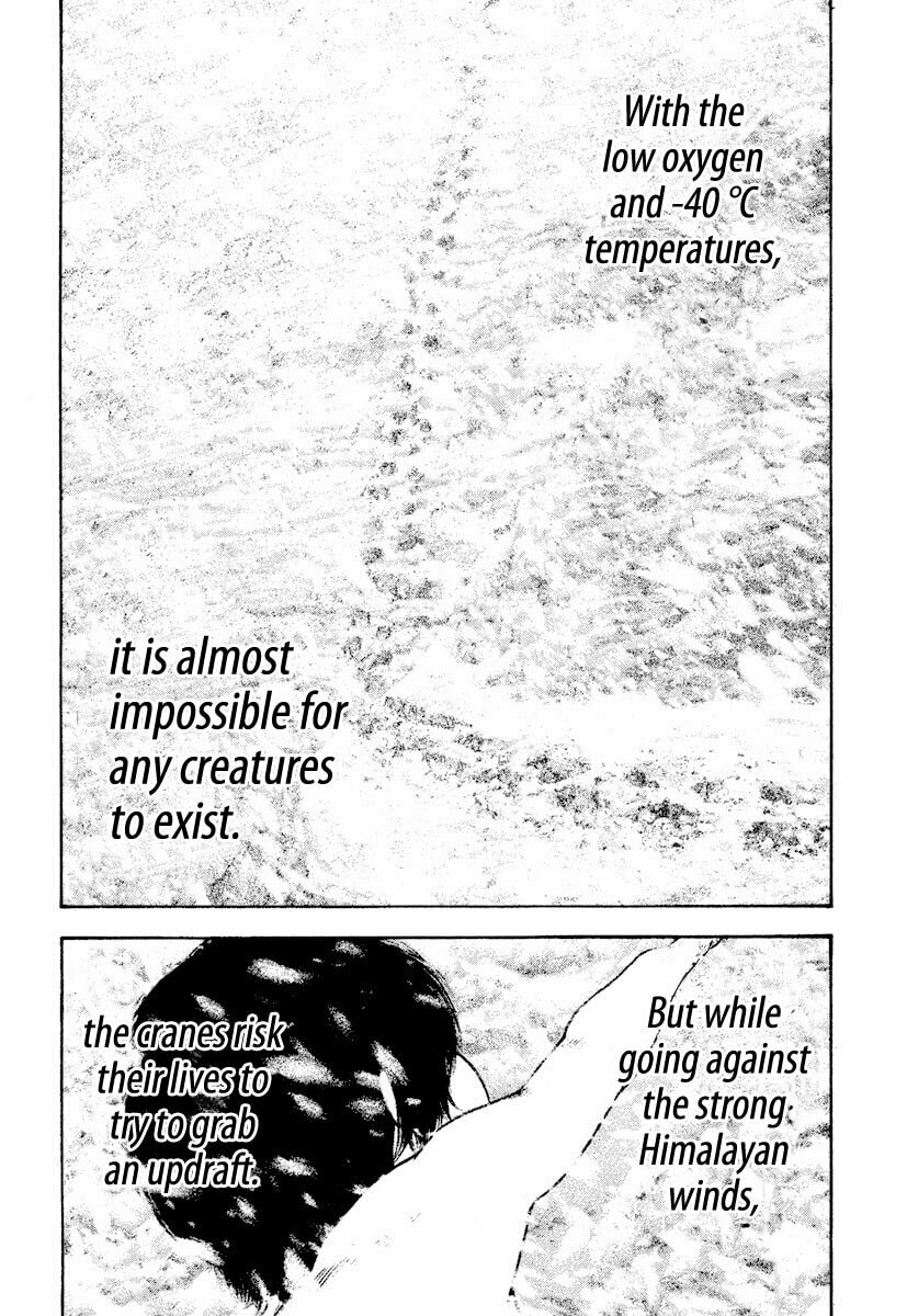 Kokou no Hito Chapter 168 page 10 - Chapter 168: Instinct