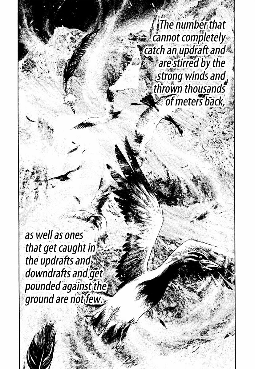 Kokou no Hito Chapter 168 page 12 - Chapter 168: Instinct