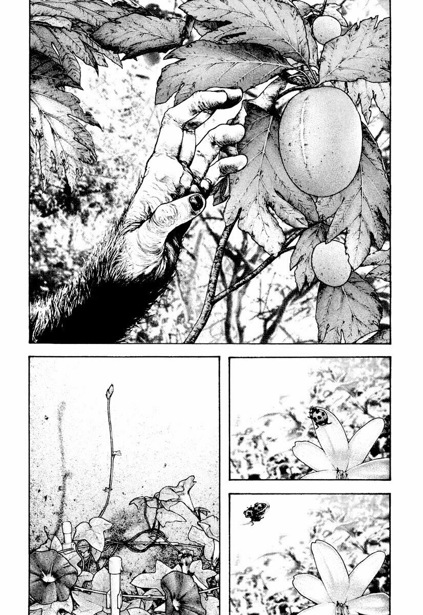 Kokou no Hito Chapter 168 page 18 - Chapter 168: Instinct