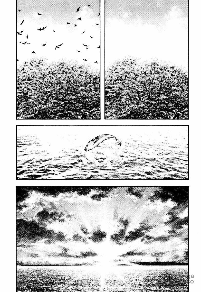 Kokou no Hito Chapter 168 page 19 - Chapter 168: Instinct