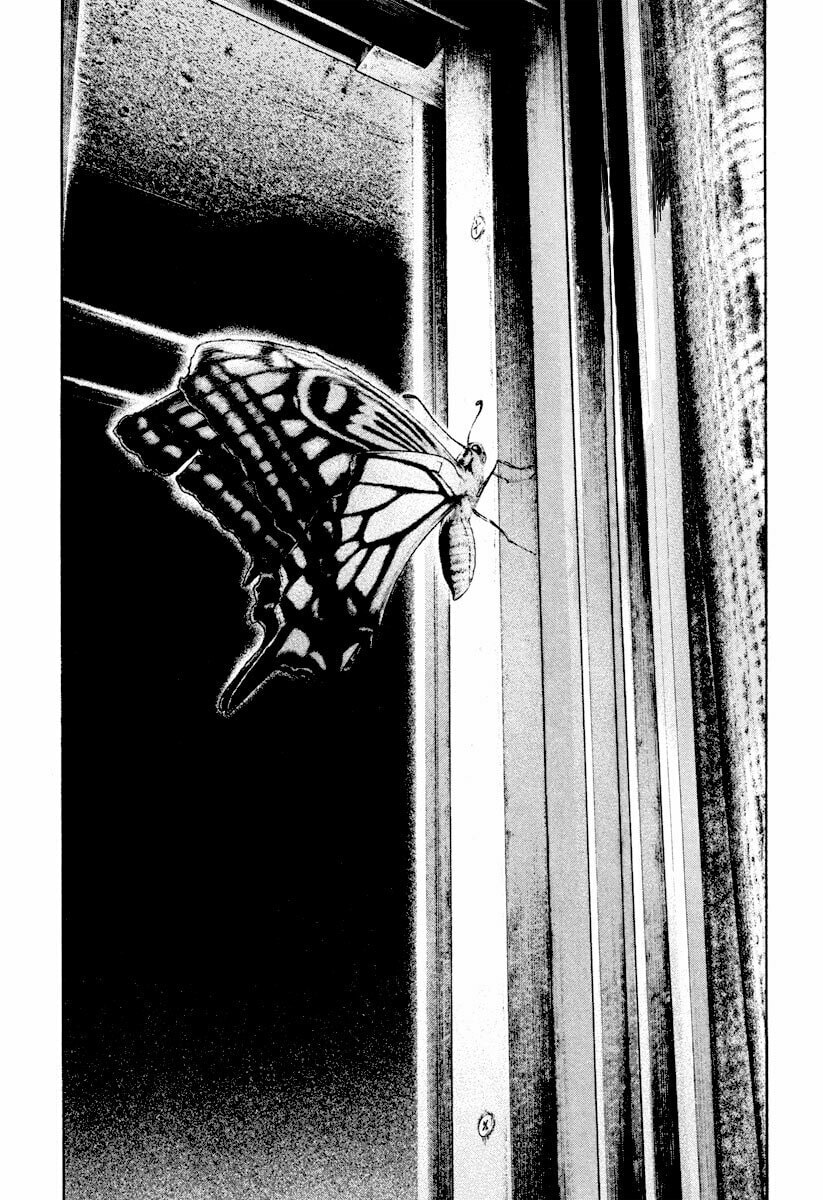 Kokou no Hito Chapter 168 page 25 - Chapter 168: Instinct