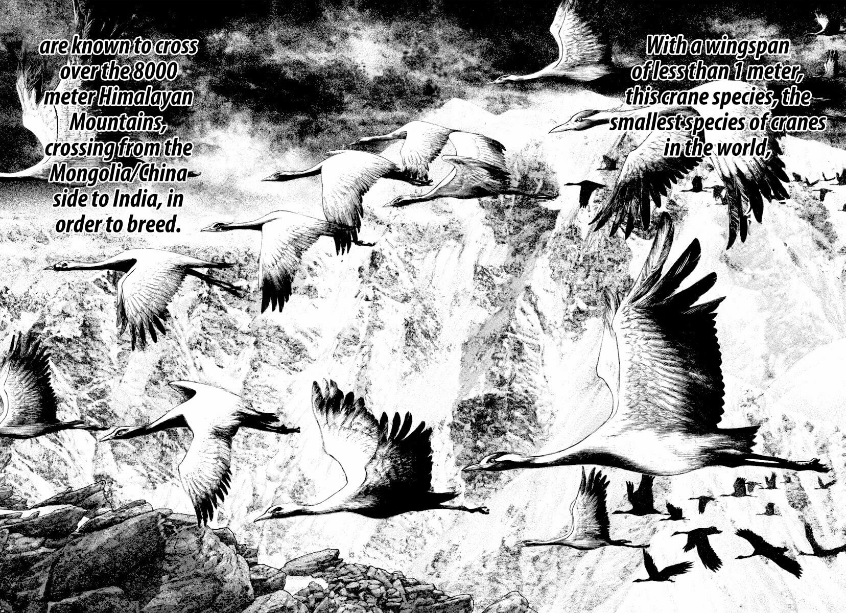 Kokou no Hito Chapter 168 page 9 - Chapter 168: Instinct