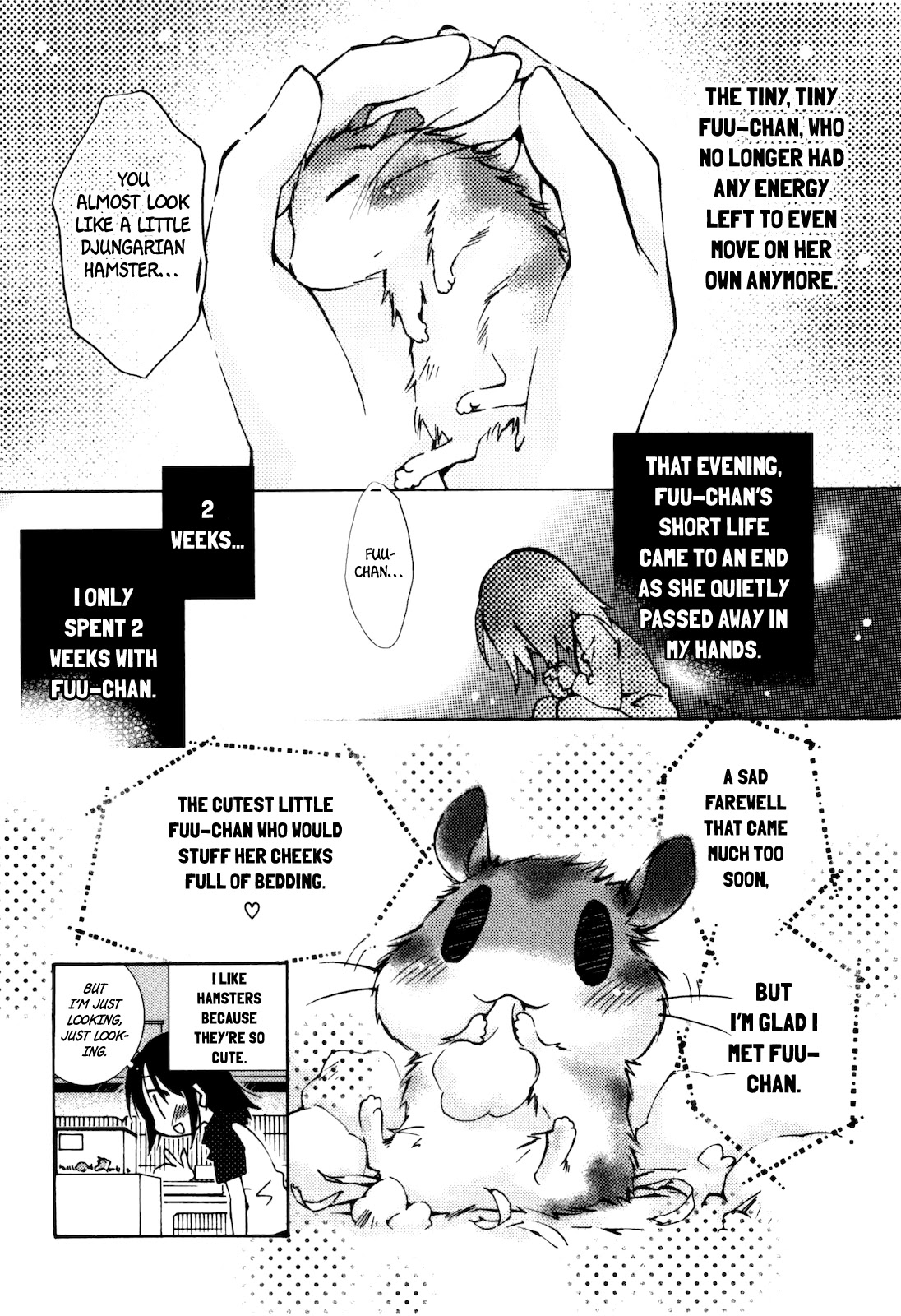 Komatsu-kun Hiyori Chapter 13 page 12 - Chapter 13