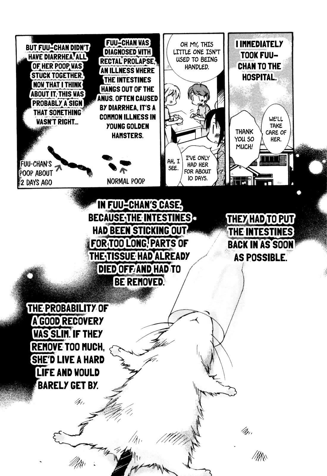 Komatsu-kun Hiyori Chapter 13 page 8 - Chapter 13