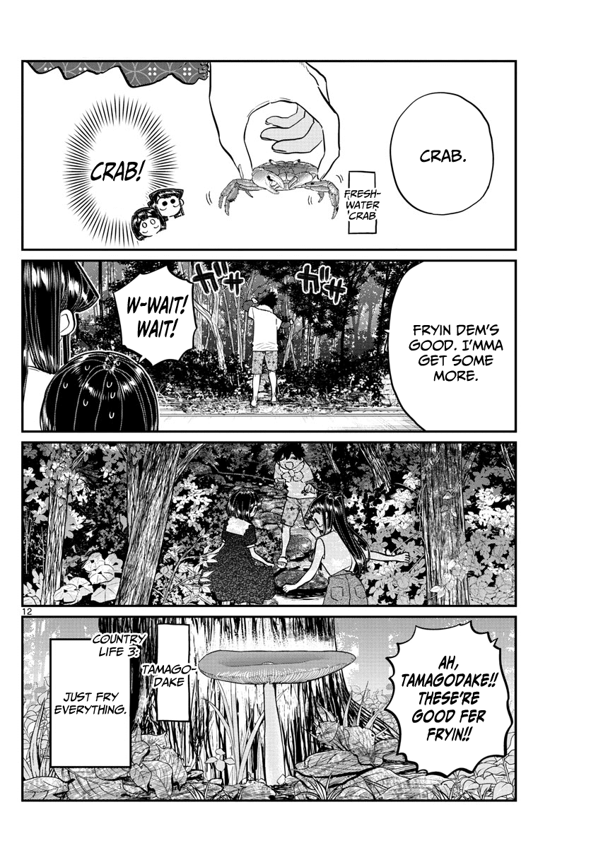 Komi-san wa Komyushou Desu Chapter 184 page 12 - Chapter 184: Playing in the Country