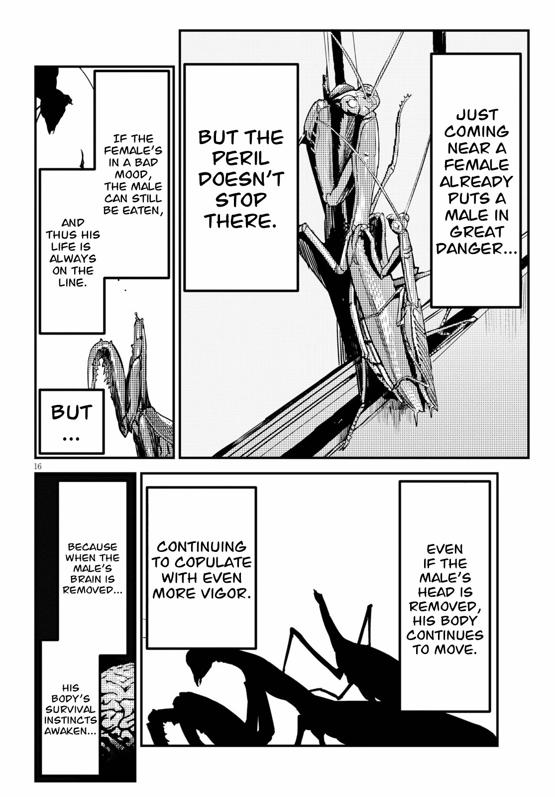 Konchuki Chapter 2 page 16 - Chapter 2: Dear Mr. Penis