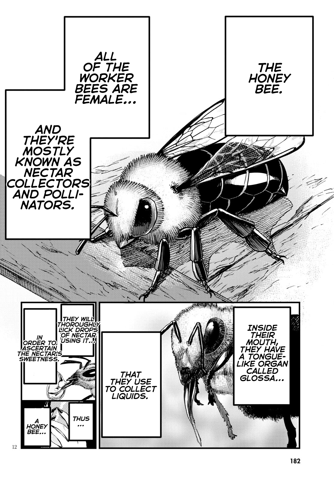 Konchuki Chapter 6 page 11 - Chapter 6: The Cum Grail War