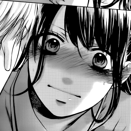 Kono Oto Tomare! Chapter 22: The Kanto Music Festival Competition Begins cover