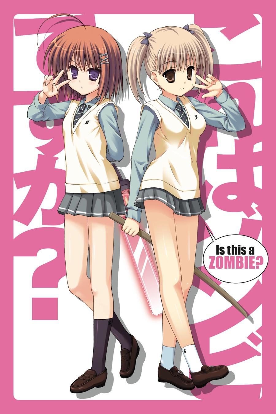 Kore wa Zombie desu ka? Chapter 17 page 2 - Chapter 17