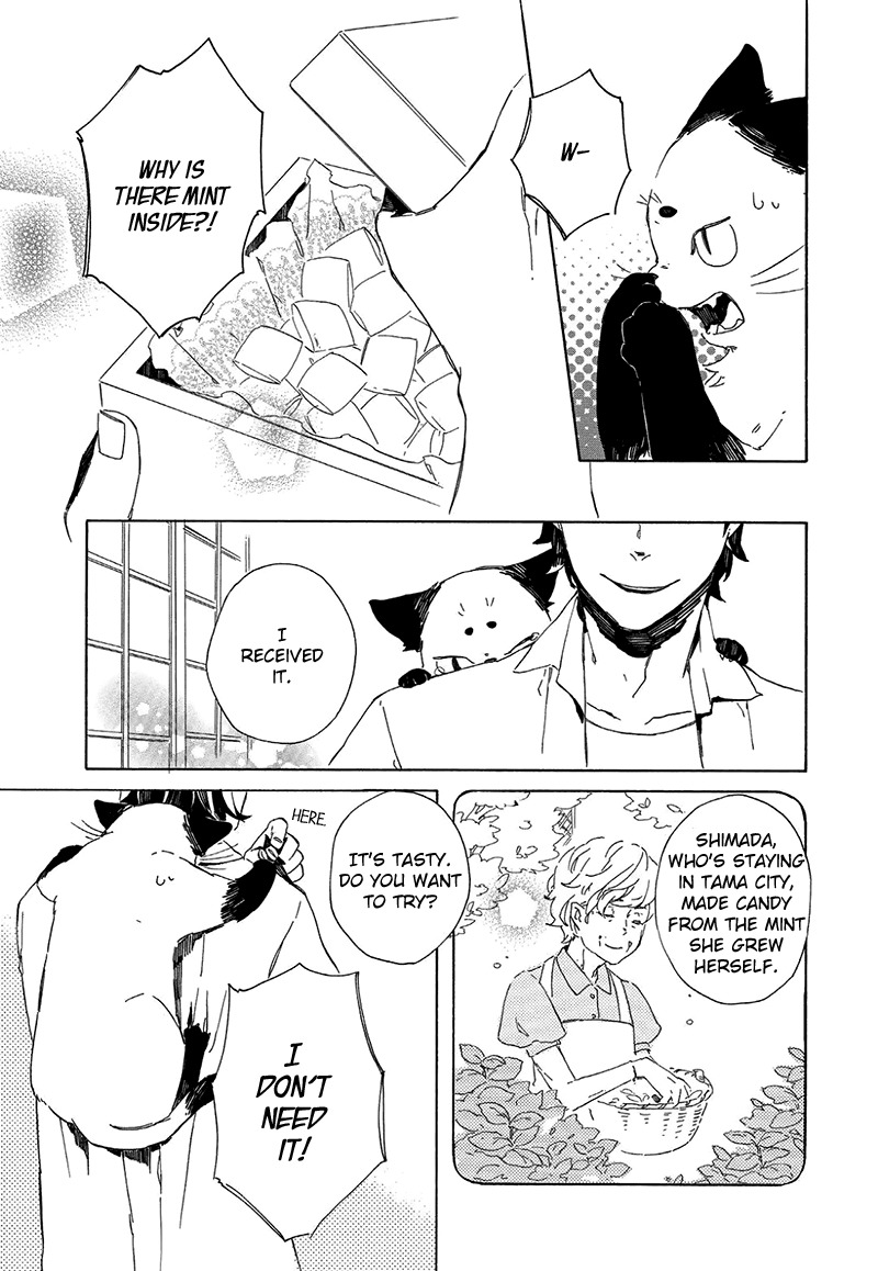 Kottou Nekoya Chapter 1.5 page 9 - Chapter 1.5: Antique Cat Shop