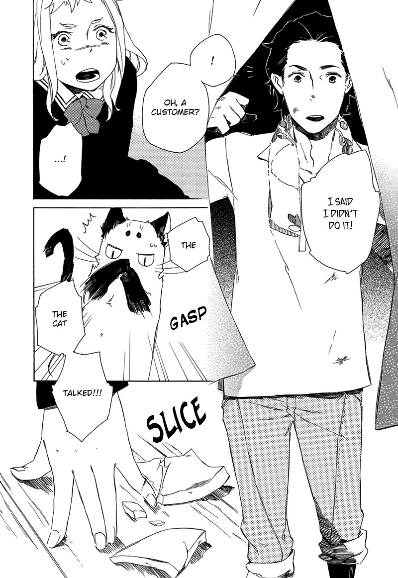 Kottou Nekoya Chapter 1 page 10 - Chapter 1: Antique Cat Shop