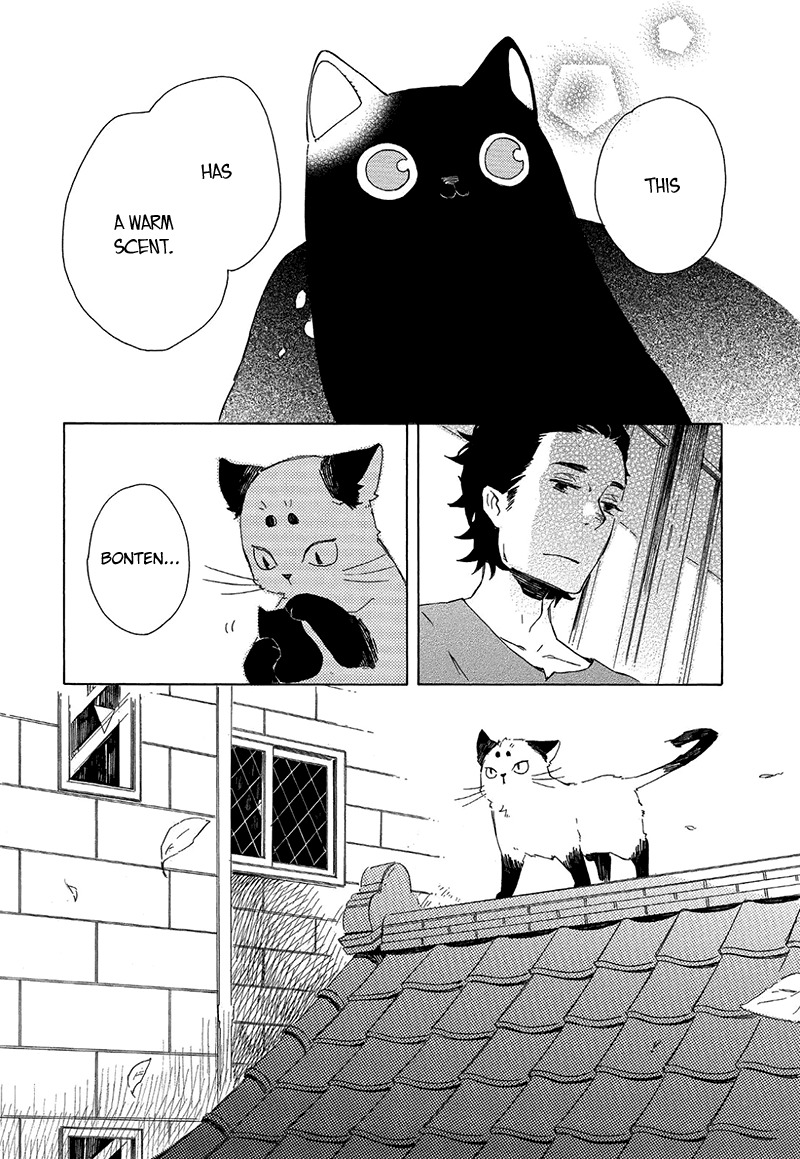 Kottou Nekoya Chapter 1 page 28 - Chapter 1: Antique Cat Shop