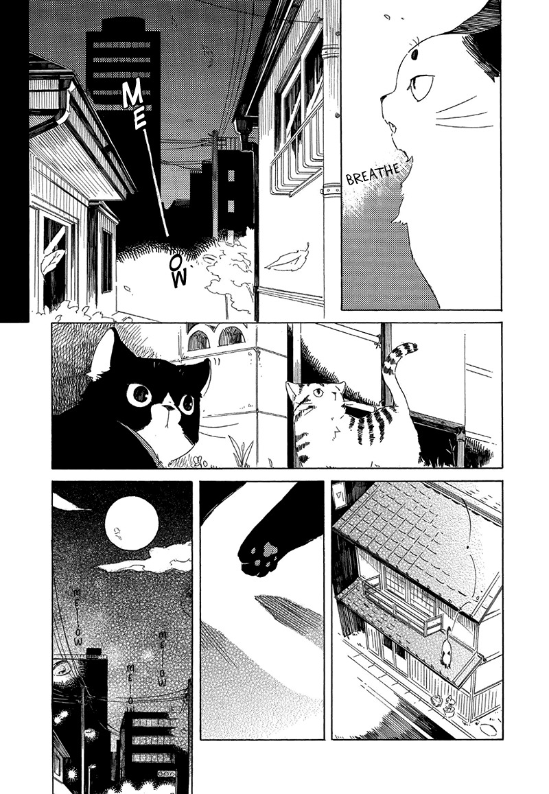 Kottou Nekoya Chapter 1 page 29 - Chapter 1: Antique Cat Shop