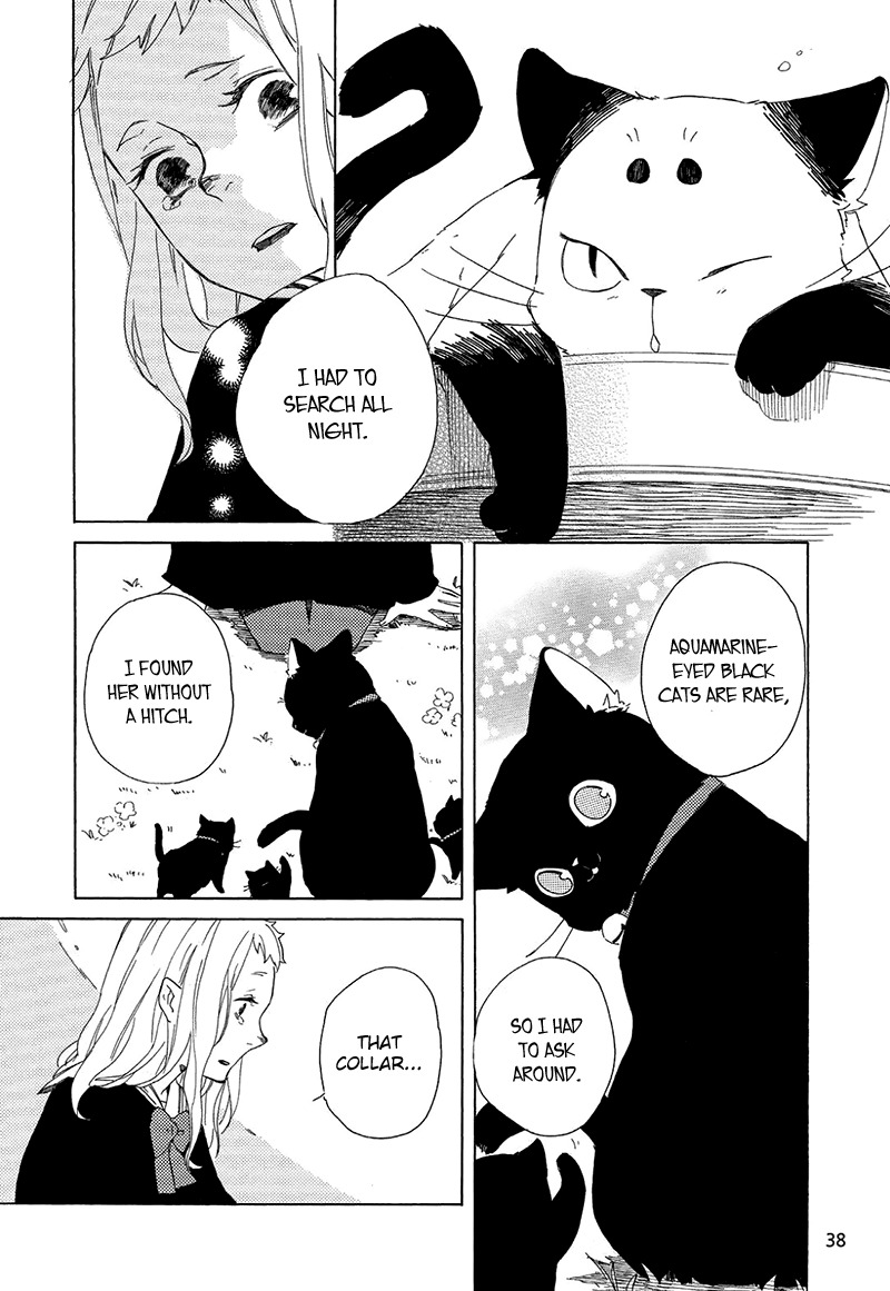Kottou Nekoya Chapter 1 page 35 - Chapter 1: Antique Cat Shop