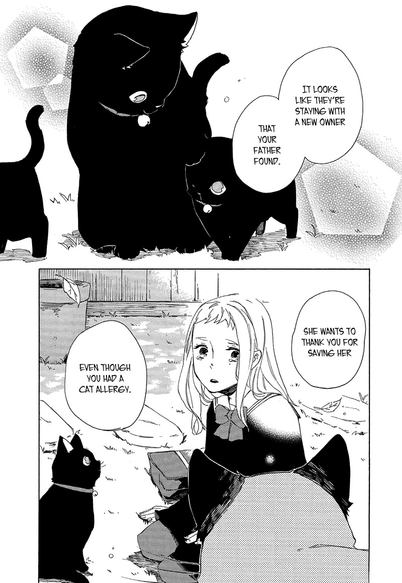 Kottou Nekoya Chapter 1 page 36 - Chapter 1: Antique Cat Shop