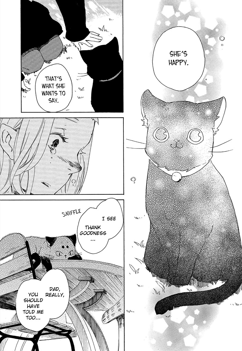 Kottou Nekoya Chapter 1 page 37 - Chapter 1: Antique Cat Shop