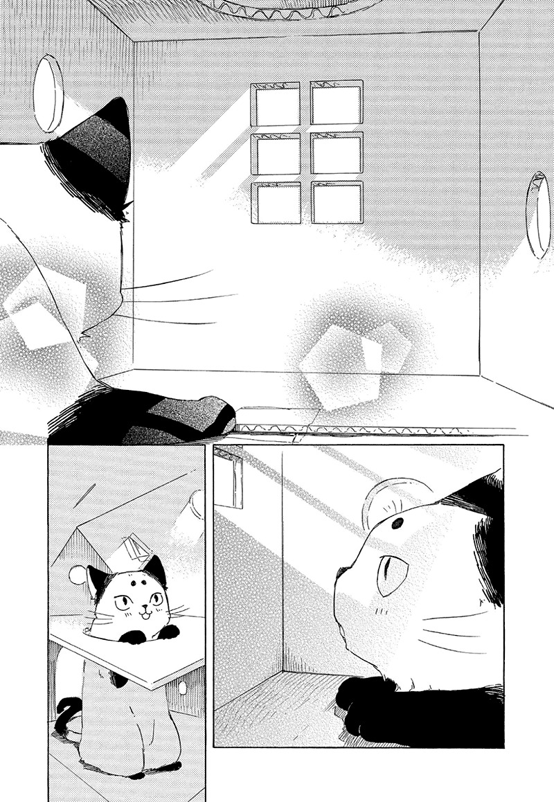 Kottou Nekoya Chapter 2.5 page 8 - Chapter 2.5: Antique Cat Shop