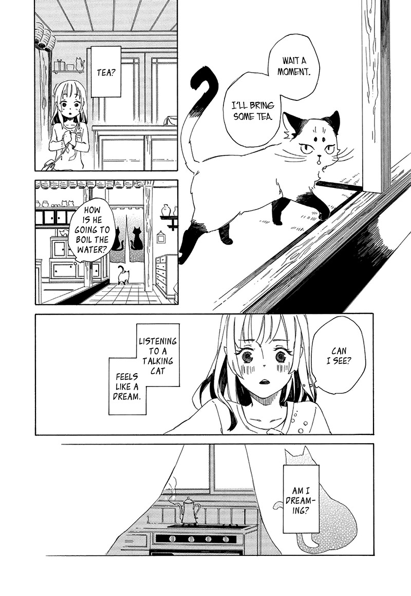 Kottou Nekoya Chapter 2 page 14 - Chapter 2: Antique Cat Shop