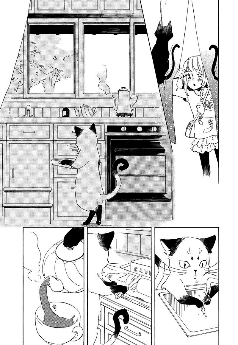 Kottou Nekoya Chapter 2 page 15 - Chapter 2: Antique Cat Shop