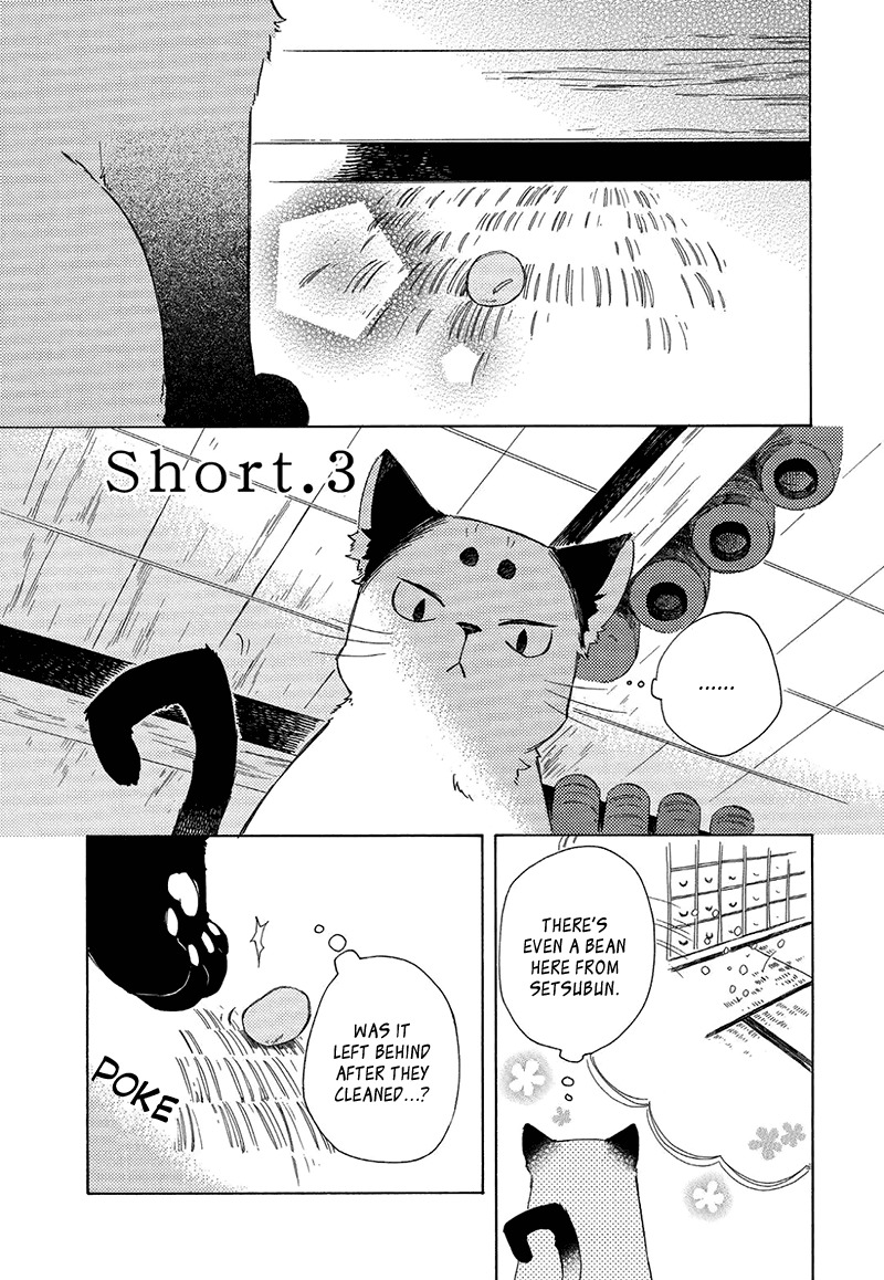 Kottou Nekoya Chapter 3.5 page 3 - Chapter 3.5: Antique Cat Shop