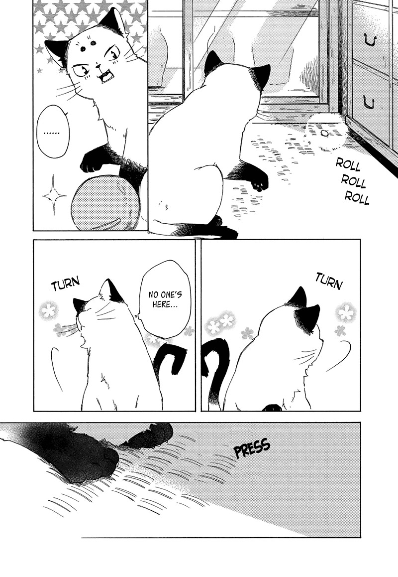 Kottou Nekoya Chapter 3.5 page 4 - Chapter 3.5: Antique Cat Shop