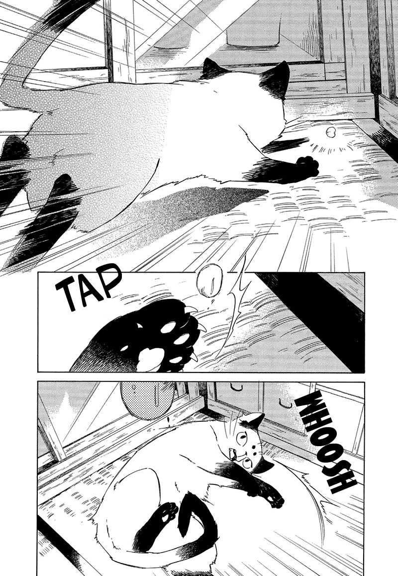 Kottou Nekoya Chapter 3.5 page 5 - Chapter 3.5: Antique Cat Shop