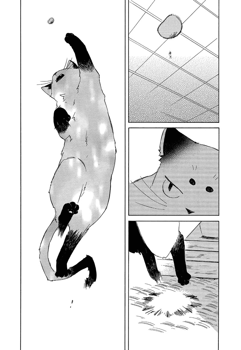 Kottou Nekoya Chapter 3.5 page 6 - Chapter 3.5: Antique Cat Shop