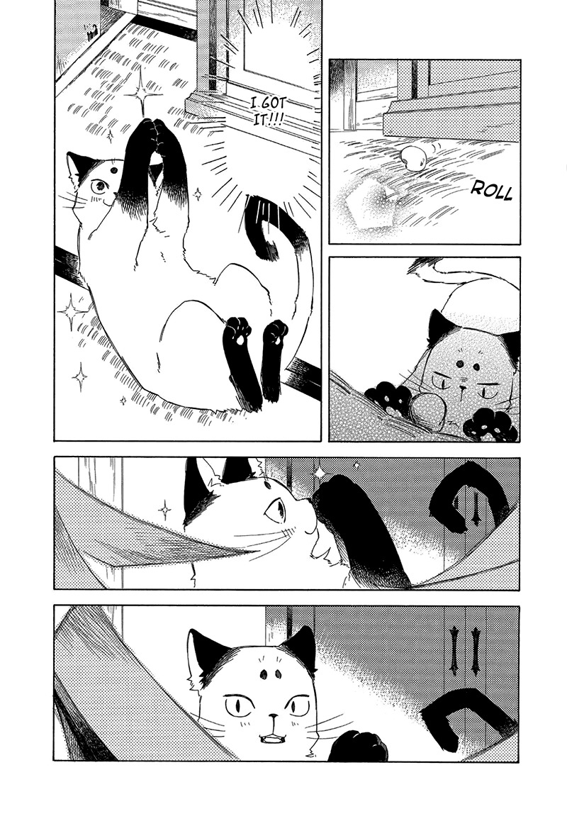 Kottou Nekoya Chapter 3.5 page 9 - Chapter 3.5: Antique Cat Shop