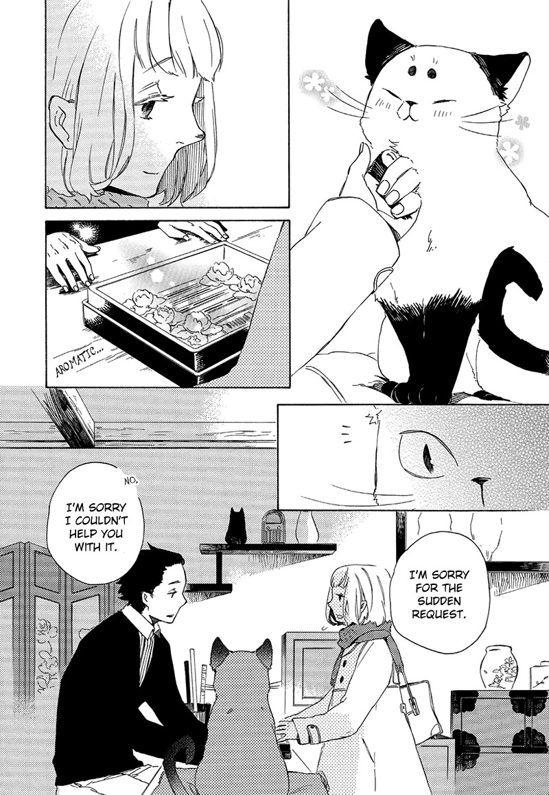 Kottou Nekoya Chapter 3 page 13 - Chapter 3: Antique Cat Shop