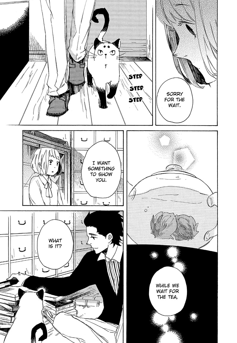 Kottou Nekoya Chapter 3 page 18 - Chapter 3: Antique Cat Shop