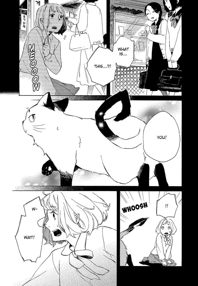 Kottou Nekoya Chapter 3 page 23 - Chapter 3: Antique Cat Shop