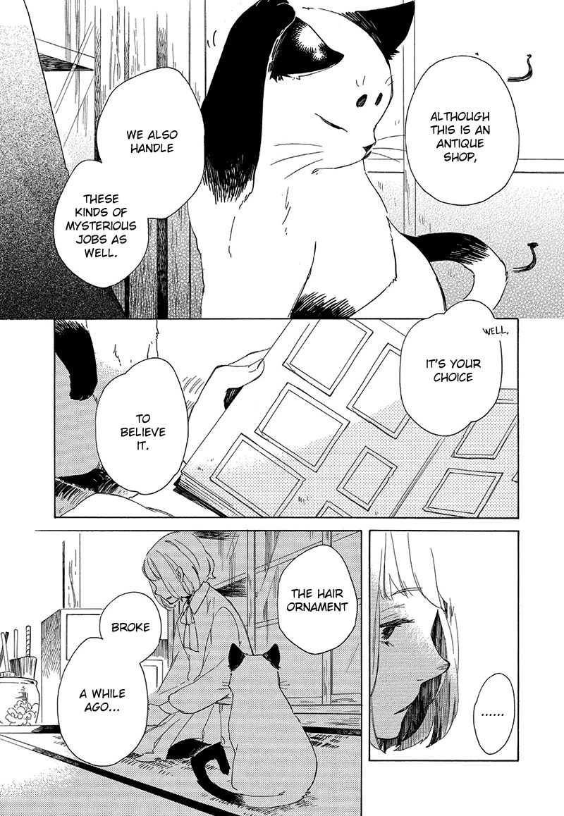 Kottou Nekoya Chapter 3 page 37 - Chapter 3: Antique Cat Shop