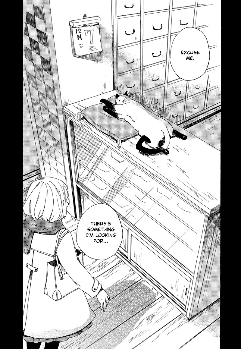 Kottou Nekoya Chapter 3 page 8 - Chapter 3: Antique Cat Shop