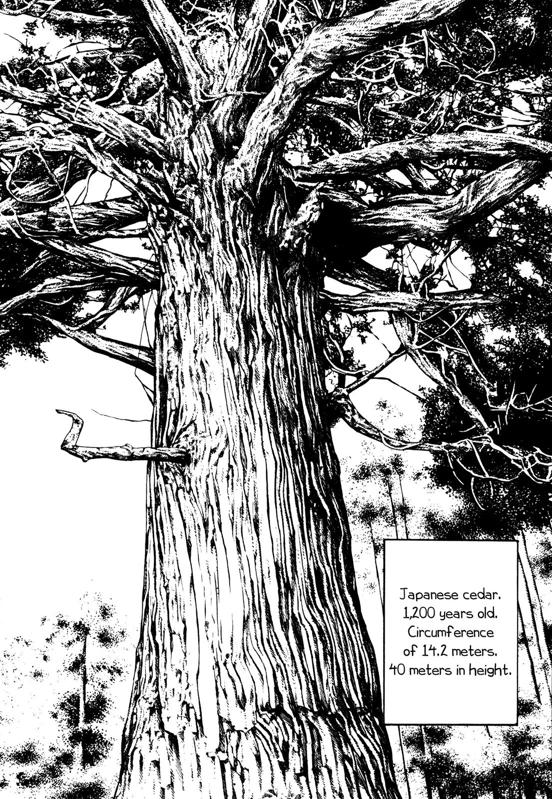 Koukou Tekkenden Tough Chapter 232 page 2 - Chapter 232: The Sacred Tree