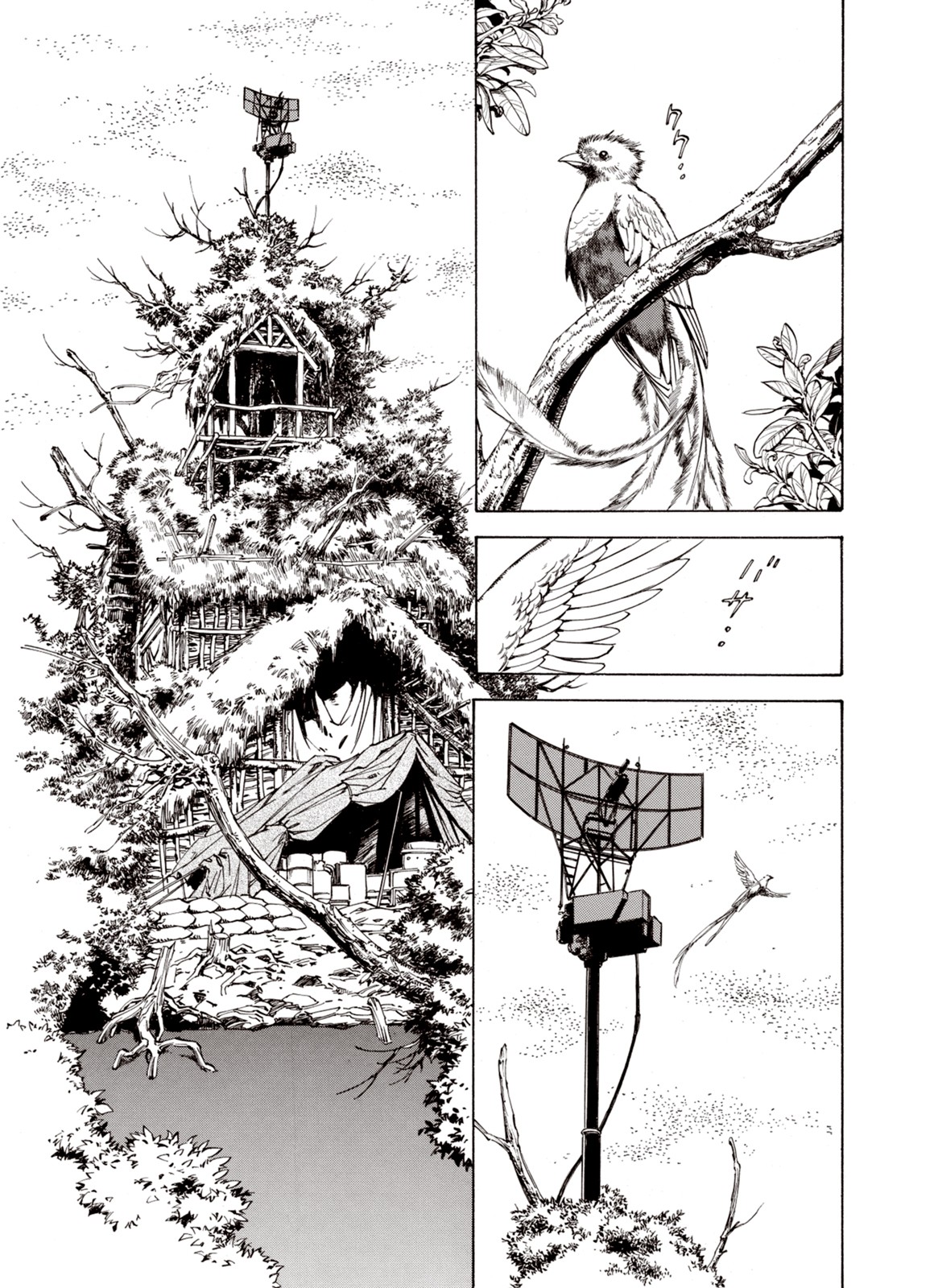 Kouya ni Kemono Doukokusu Chapter 50 page 14 - Chapter 50: Molting