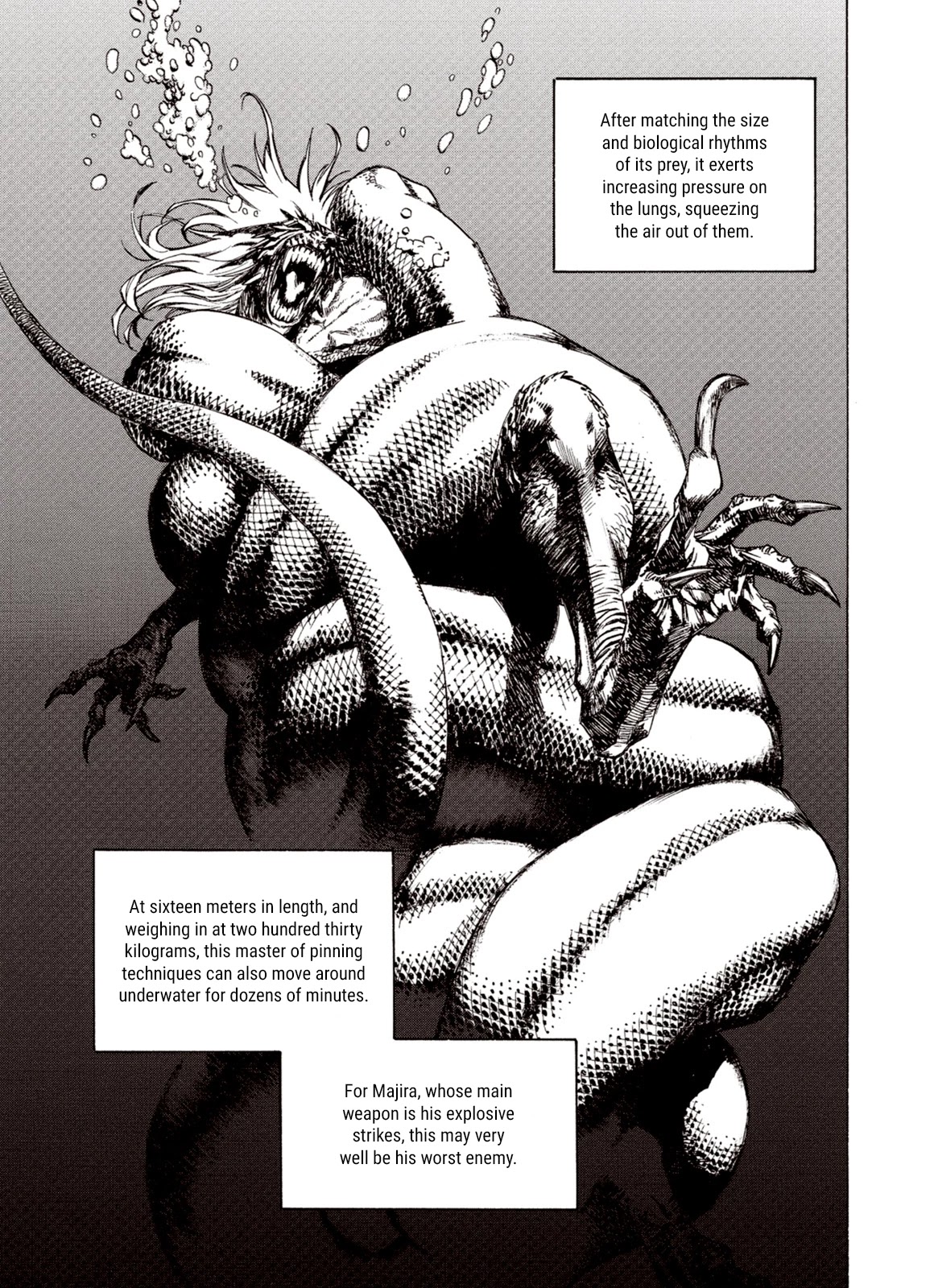 Kouya ni Kemono Doukokusu Chapter 80 page 21 - Chapter 80: Twin Dragons