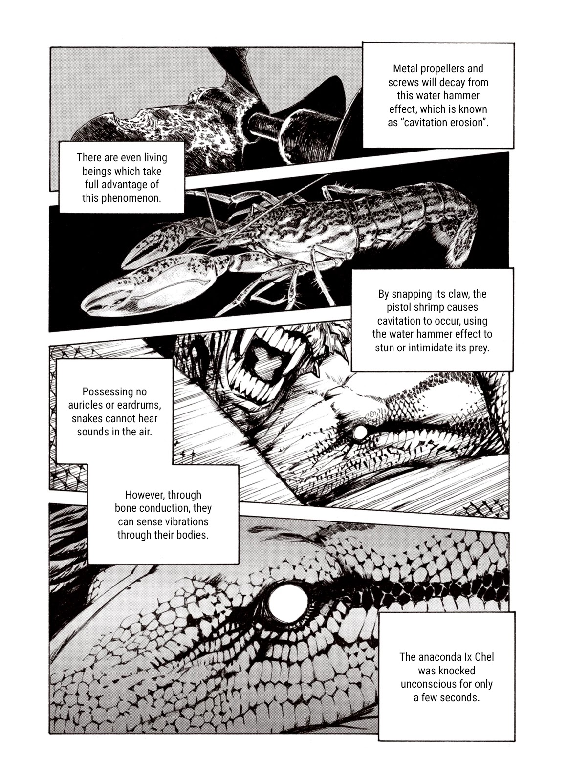 Kouya ni Kemono Doukokusu Chapter 80 page 24 - Chapter 80: Twin Dragons