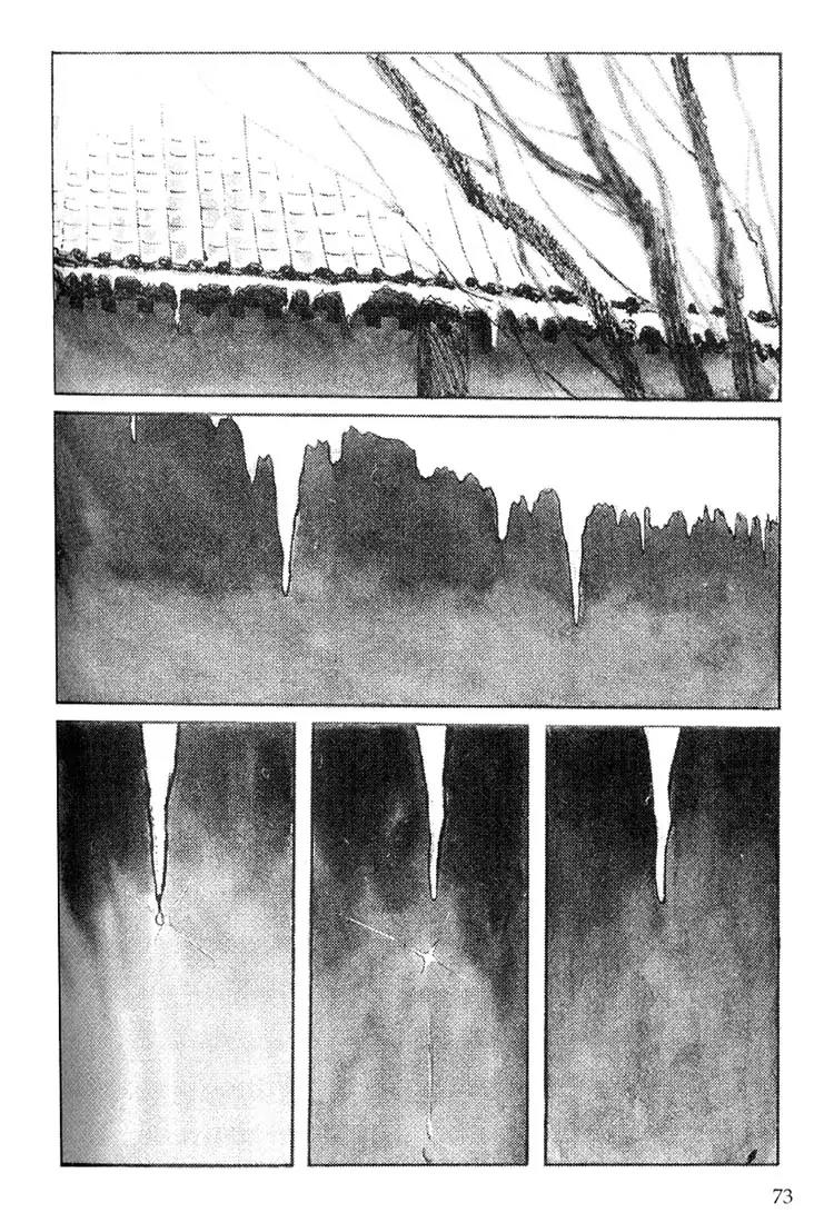 Kozure Ookami Chapter 113 page 5 - Chapter 113: Tears Of Ice