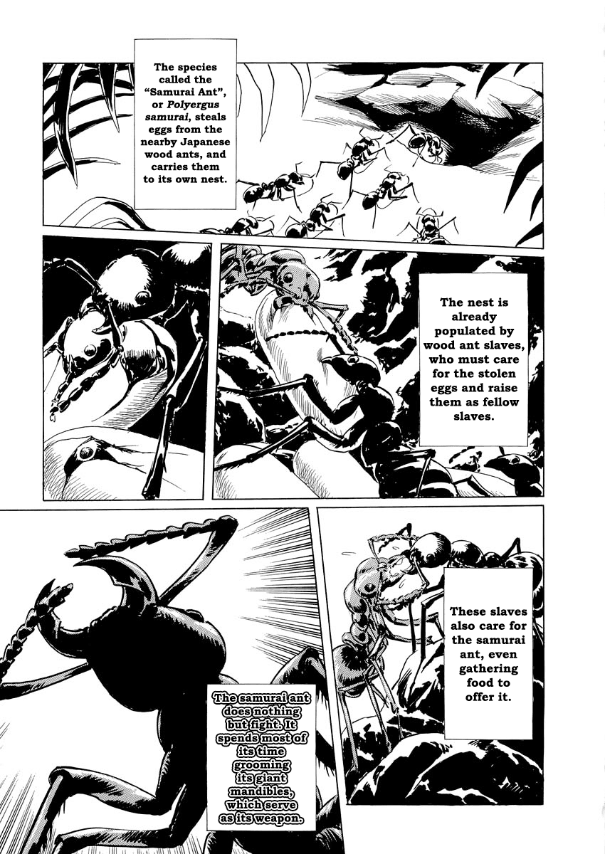 Kublai - Completion of World Conquest Chapter 0.1 page 74 - Chapter 0.1