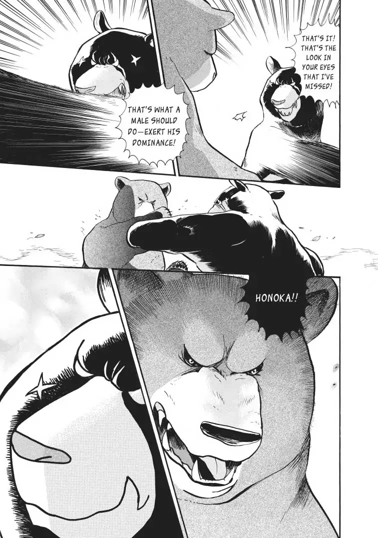 Kumamiko - Girl Meets Bear Chapter 31 page 24 - Chapter 31: Attack Of The Black Bear