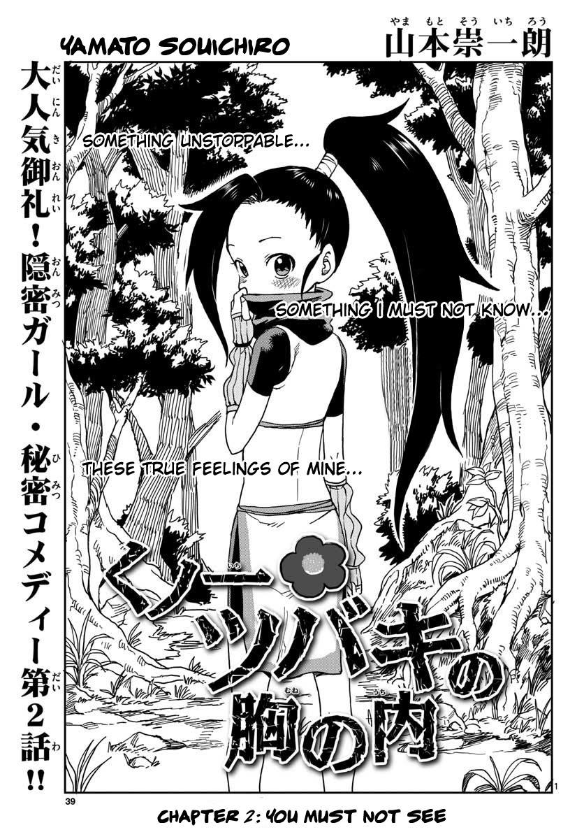 Kunoichi Tsubaki no Mune no Uchi Chapter 2 page 1 - Chapter 2: You Must Not See