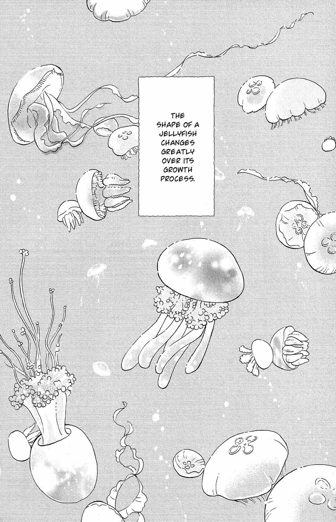 Kuragehime Chapter 81 page 3 - Chapter 81: Innocent Koibuchi Boys