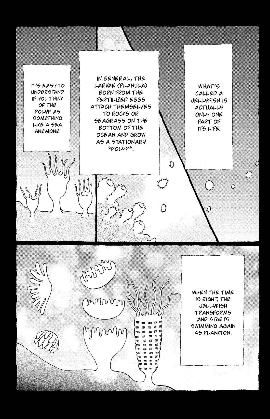 Kuragehime Chapter 81 page 4 - Chapter 81: Innocent Koibuchi Boys