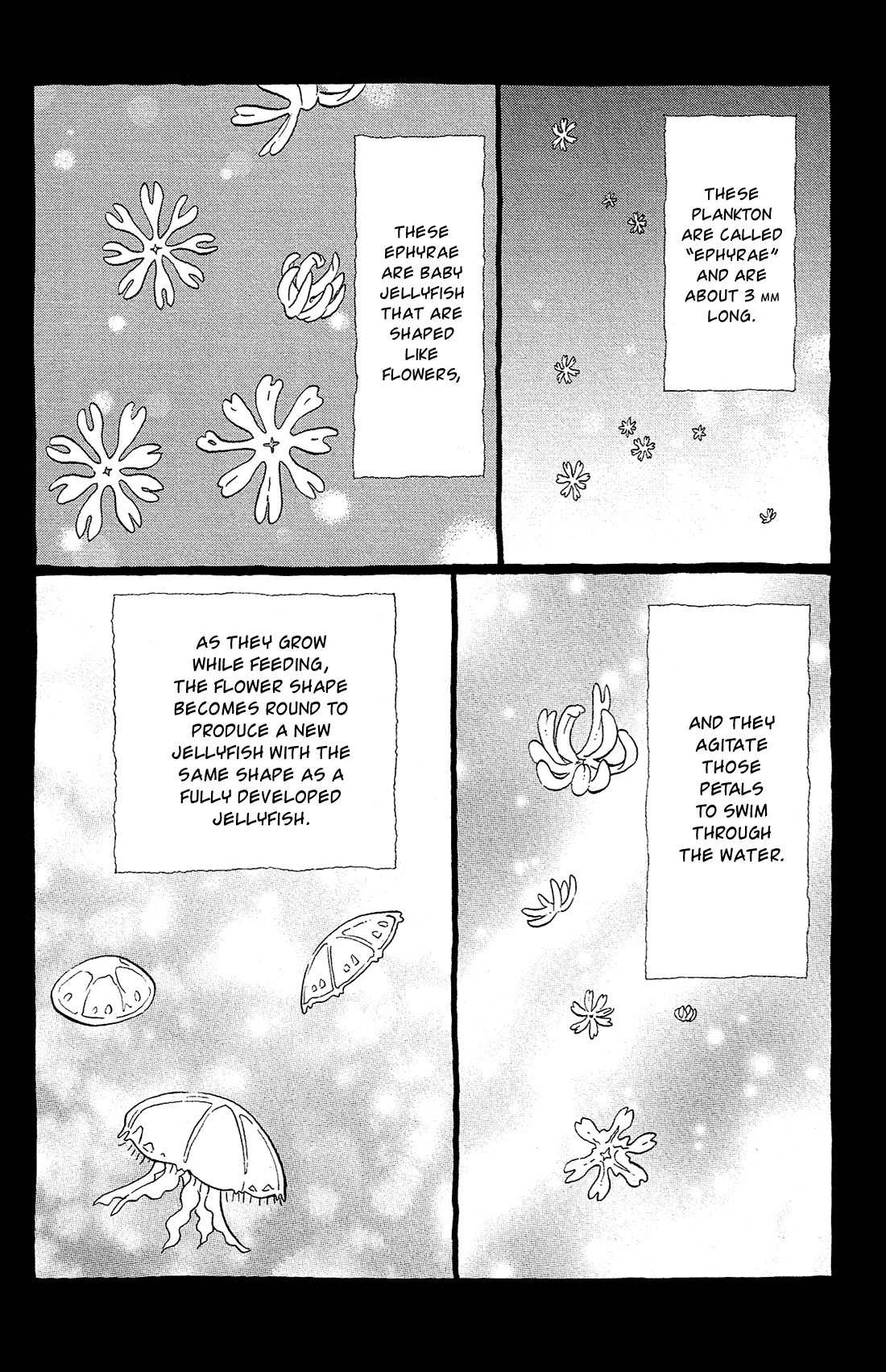 Kuragehime Chapter 81 page 5 - Chapter 81: Innocent Koibuchi Boys