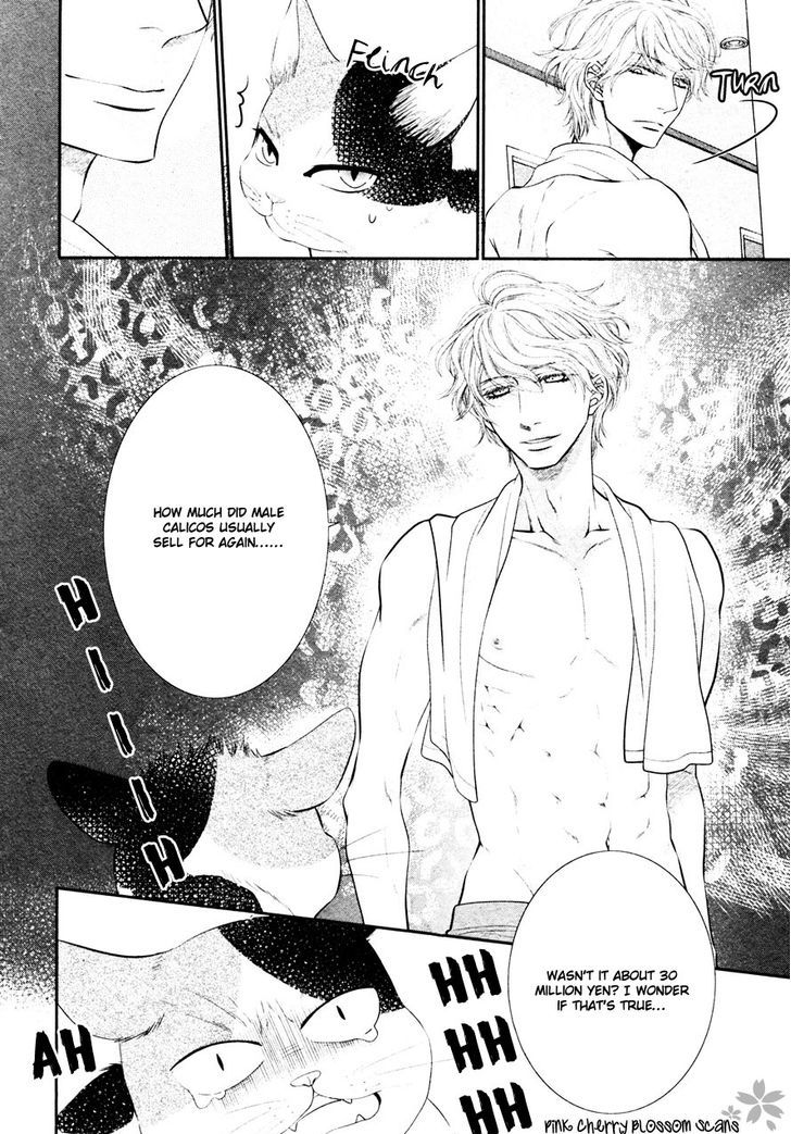 Kuroneko Kareshino Arukikata Chapter 2 page 13 - Chapter 2